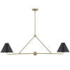 Banks 2 Shade Linear Pendant 54