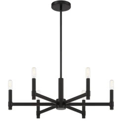 Carson 6 Light Chandelier, Matte Black