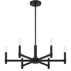 Carson 6 Light Chandelier, Matte Black