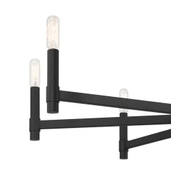 Carson 8 Light Chandelier, Matte Black