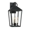 Cole Outdoor Wall Light, Large 21.5" Black