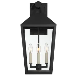 Cole Outdoor Wall Light, Large 21.5