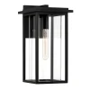 Colin Outdoor Wall Light, Medium