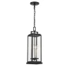 Easton Outdoor Hanging Light, Black