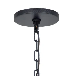 Emmett Outdoor Hanging Light, Black Charcoal