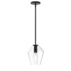 Eva 9" Clear Diamond Pendant, Matte Black