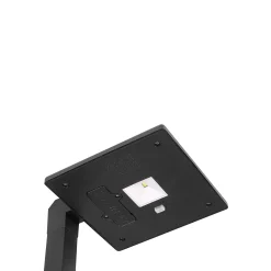 Evan Solar Path Lights, Set of 4