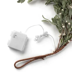 Frosted Mistletoe Garland with 100 LEDs