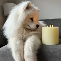 Infinity Wick Ivory 3-LED 6