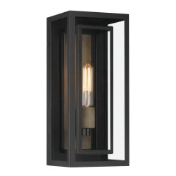 Jaxon Outdoor Wall Light, Matte Black with Brass Accents