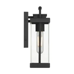Parker Outdoor Wall Light, Small